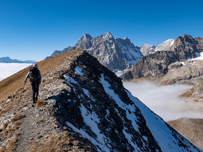 DCLDLUX8-20251015-1001881