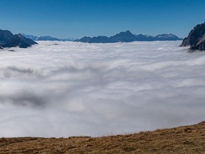 DCLDLUX8-20251015-1001889