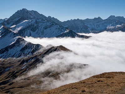 DCLDLUX8-20251015-1001891