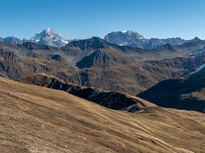 DCLDLUX8-20251015-1001892