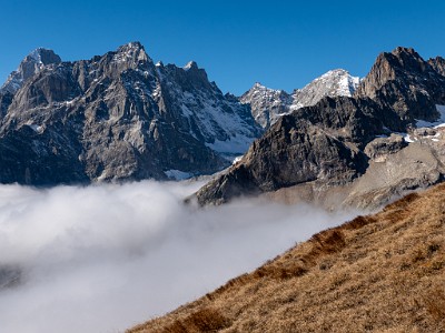 DCLDLUX8-20251015-1001894