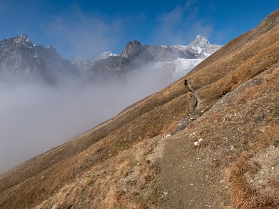 DCLDLUX8-20251015-1001895