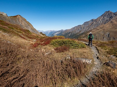 DCLDLUX8-20251015-1001905