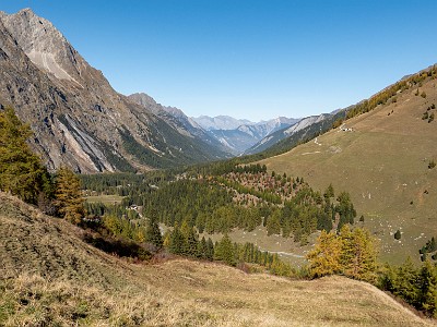 DCLDLUX8-20251015-1001906