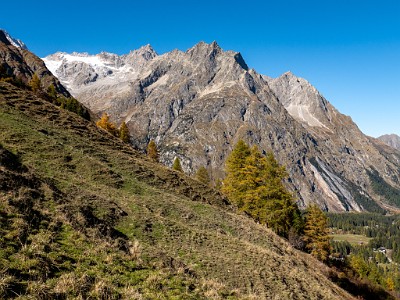 DCLDLUX8-20251015-1001907