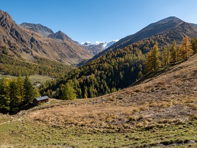 DCLDLUX8-20251015-1001909