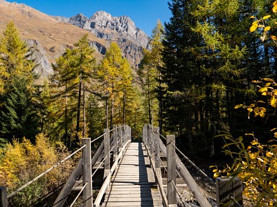 DCLDLUX8-20251015-1001910