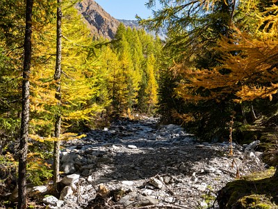 DCLDLUX8-20251015-1001912