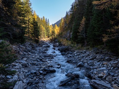 DCLDLUX8-20251015-1001913