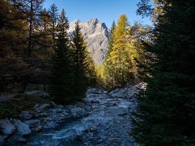 DCLDLUX8-20251015-1001915