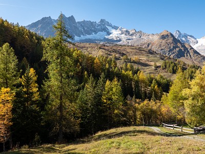 DCLDLUX8-20251015-1001916