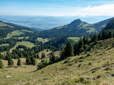 DCLDLUX8-20250825-1001008