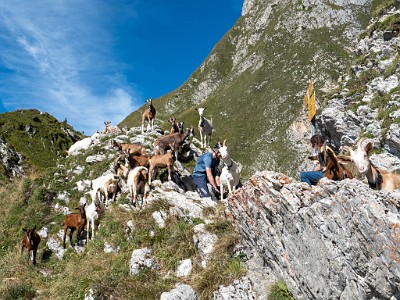 DCLDLUX8-20250825-1001011