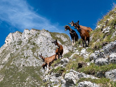 DCLDLUX8-20250825-1001012