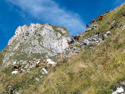 DCLDLUX8-20250825-1001013