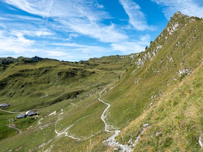 DCLDLUX8-20250825-1001016