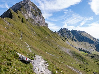 DCLDLUX8-20250825-1001017