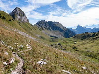 DCLDLUX8-20250825-1001021