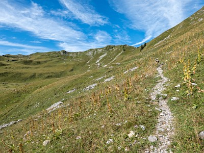 DCLDLUX8-20250825-1001022