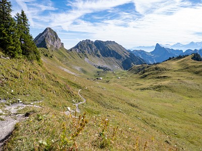 DCLDLUX8-20250825-1001023