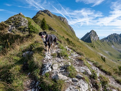 DCLDLUX8-20250825-1001028