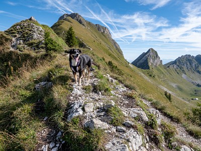 DCLDLUX8-20250825-1001030