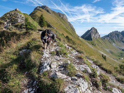 DCLDLUX8-20250825-1001031