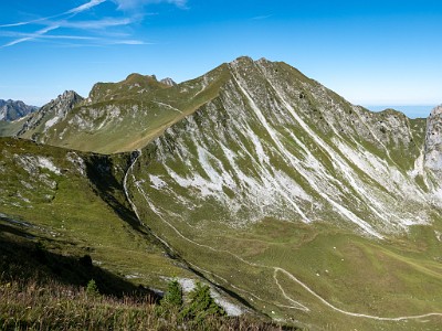 DCLDLUX8-20250825-1001037