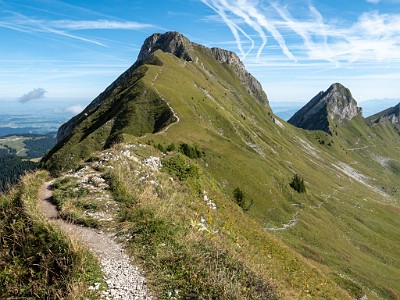 DCLDLUX8-20250825-1001040