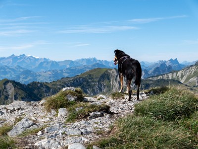 DCLDLUX8-20250825-1001042