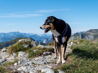 DCLDLUX8-20250825-1001044