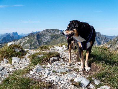 DCLDLUX8-20250825-1001045