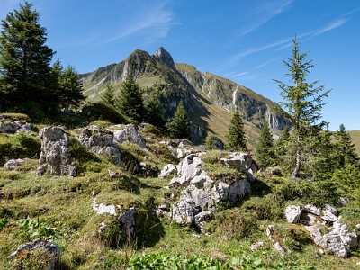 DCLDLUX8-20250825-1001048