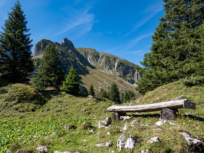 DCLDLUX8-20250825-1001050