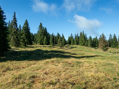 DCCG1X-20250717-1397