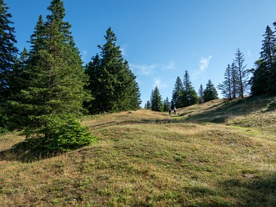 DCCG1X-20250717-1399