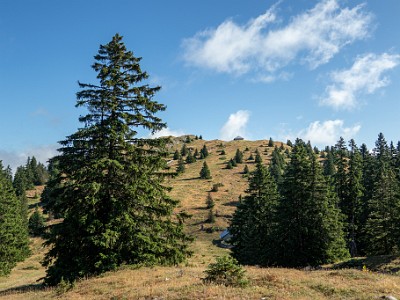 DCCG1X-20250717-1401