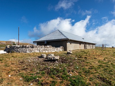 DCCG1X-20250717-1403