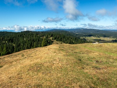 DCCG1X-20250717-1404