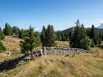 DCCG1X-20250717-1406