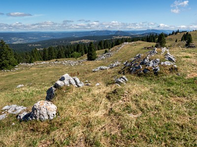 DCCG1X-20250717-1407