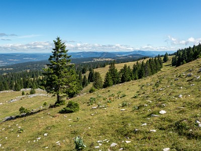 DCCG1X-20250717-1414