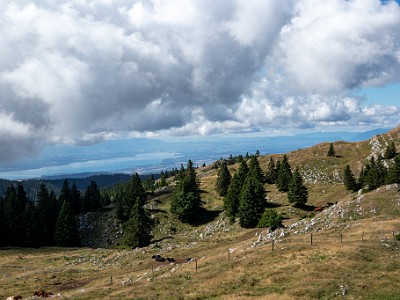 DCCG1X-20250717-1419