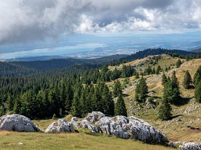 DCCG1X-20250717-1423