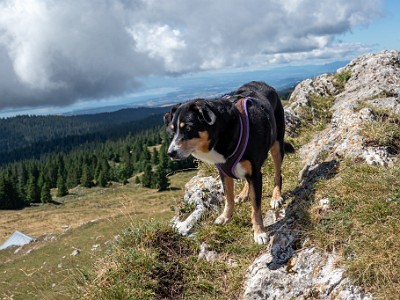 DCCG1X-20250717-1443