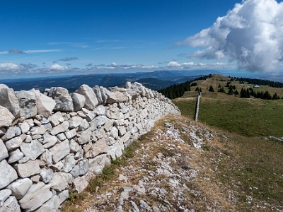 DCCG1X-20250717-1446