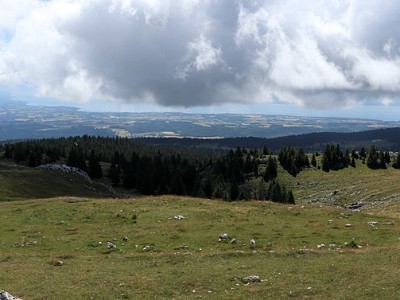 DCCG1X-20250717-1457