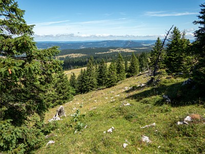 DCCG1X-20250717-1461