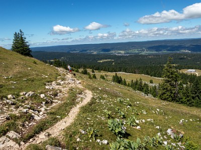 DCCG1X-20250717-1462