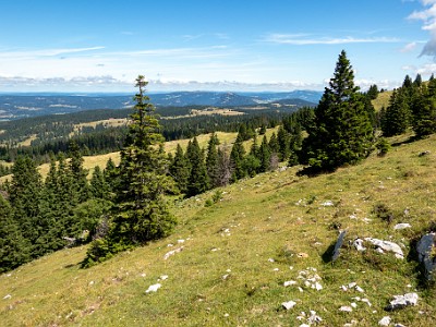 DCCG1X-20250717-1463